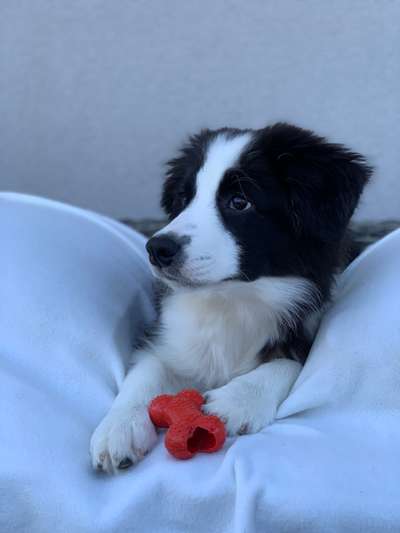 Moviestar-Pics!-Beitrag-Bild