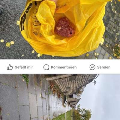 Giftköder-Bonifatius Park Riedberg Frankfurt-Bild