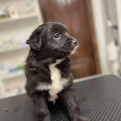 aktuelles Foto Gruppe Körpersprache lesen & verstehen