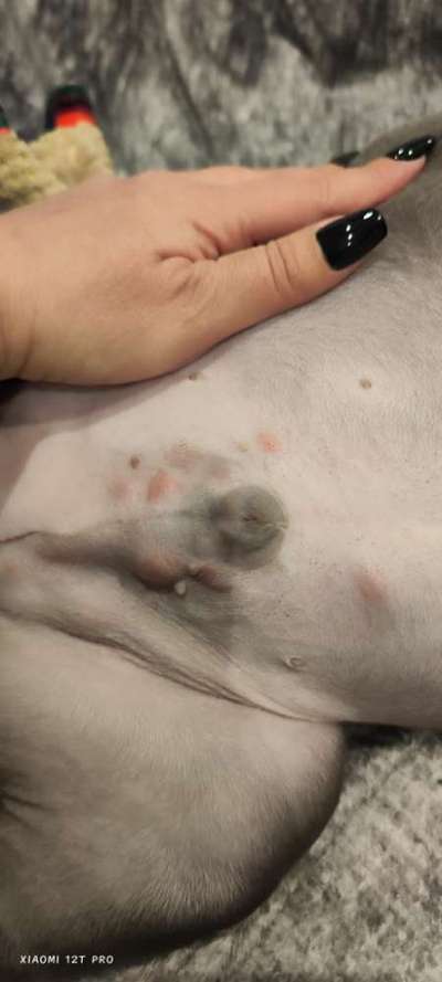 Hautausschlag-Beitrag-Bild