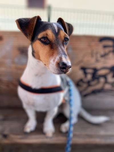 Lieblingsbild :D-Beitrag-Bild