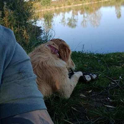 aktuelles Foto Gruppe Wandern und Outdoor