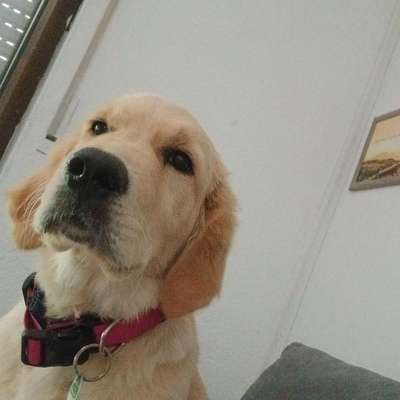 Emmi's Profilbild