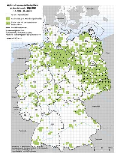 Wolfsangriff in den Niederlanden – Wie sicher sind unsere Hunde?-Beitrag-Bild