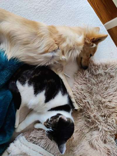 Nicht ganz alltägliche Hundenamen.
Wie kreativ wart ihr?-Beitrag-Bild