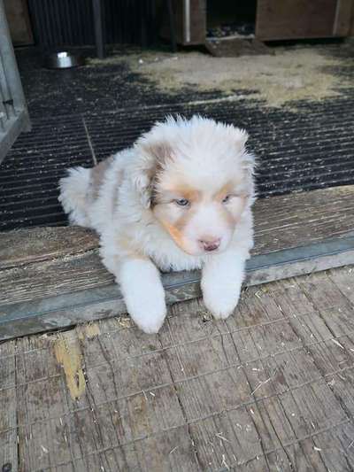 Erstes Bild-Beitrag-Bild