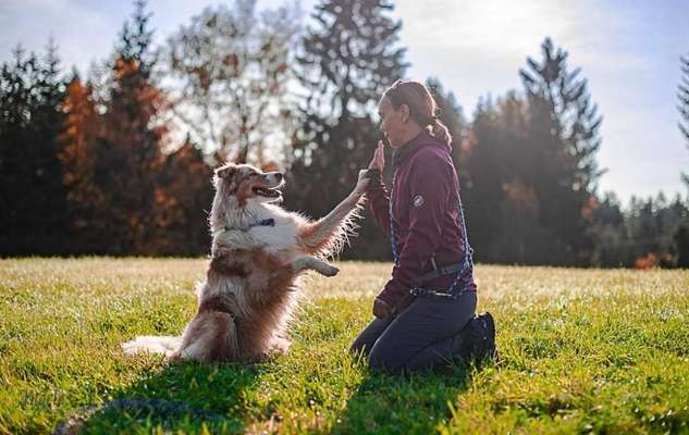 Hundmenschfotos-Beitrag-Bild