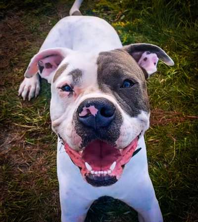 Das beste grinsefoto-Beitrag-Bild