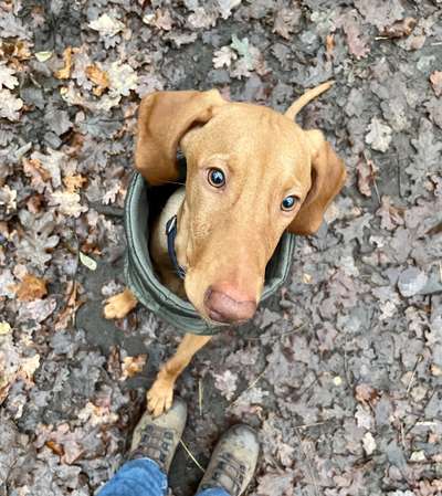 Fotochallange Nr. 57     PORTRÄT.   Beendet!!!!!!!!-Beitrag-Bild