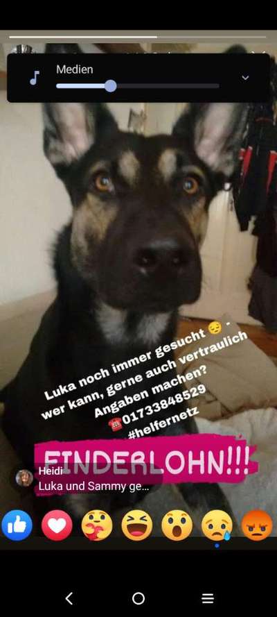 Suchmeldung-Luka-Bild