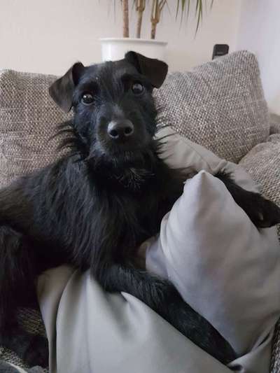 Seltene Rassen!-Beitrag-Bild