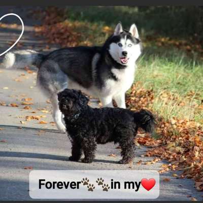 Challenge 30  Freundschaft-Beitrag-Bild