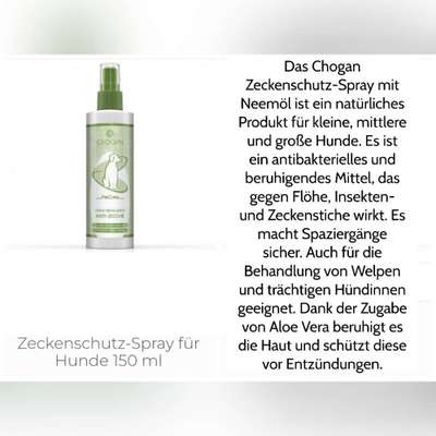 Floh und Zeckenmittel-Beitrag-Bild