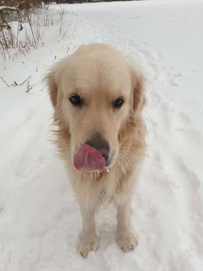 Dogorama-Monats-Challenge-Mai "Wasser"-Beitrag-Bild