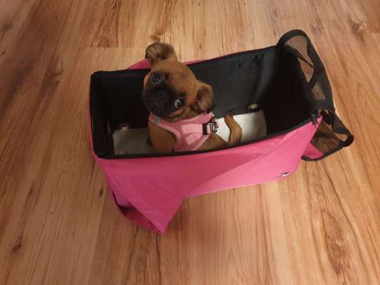 CHALLENGE NR. 18 - ON TOUR-Beitrag-Bild