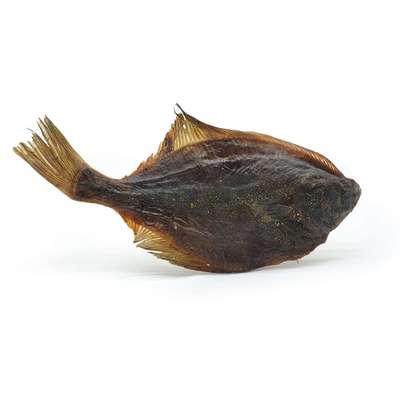 %{de_profession_title}-Flunder - für deinen Hund - 200 g-Bild