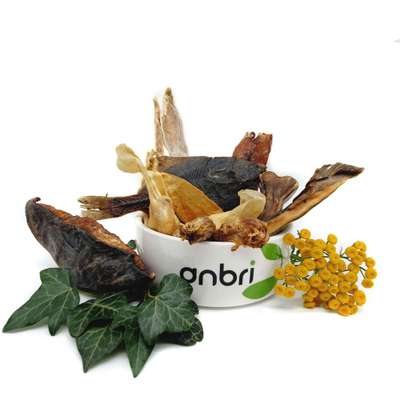 %{de_profession_title}-Kauartikel Mix Paket-Bild