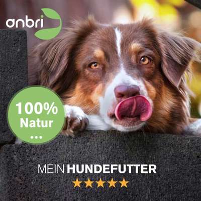 Hundeshops-anbri Tier Restaurant GmbH-Bild