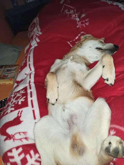 Die unbequemsten und lustigsten Schlafpositionen-Beitrag-Bild