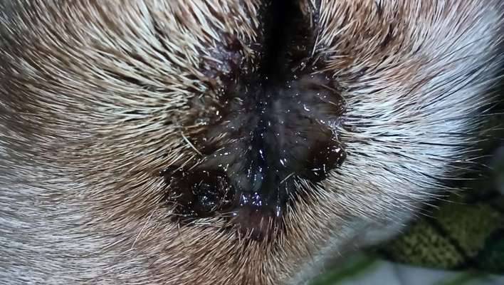 Was ist das?-Beitrag-Bild