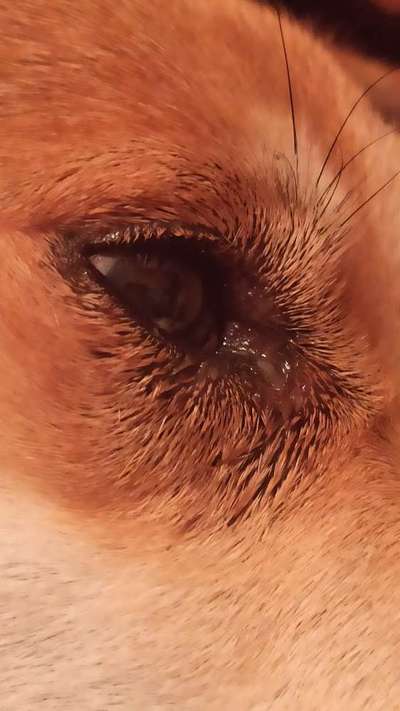 Was ist das?-Beitrag-Bild