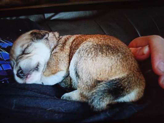 Das erste Foto-Beitrag-Bild