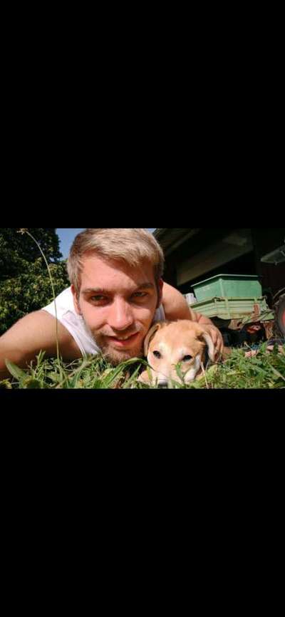 Die Dogorama Monats Challenge "Es grünt und blüht"-Beitrag-Bild