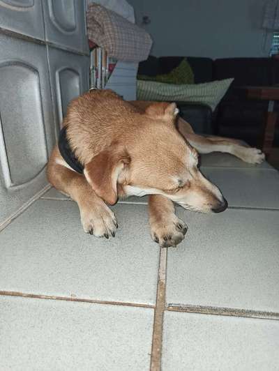 CHALLENGE Nr.17-Beitrag-Bild