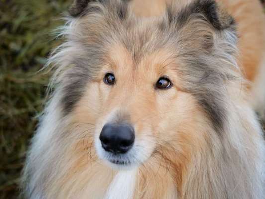 Handy-Foto Challange Nr. 10-Beitrag-Bild