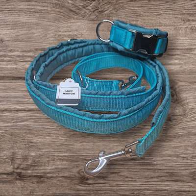Giftköder-Halsband Leine Set Türkis-Bild