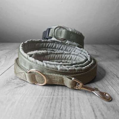 Giftköder-Hundegeschirr, Halsband, Leine Set-Bild