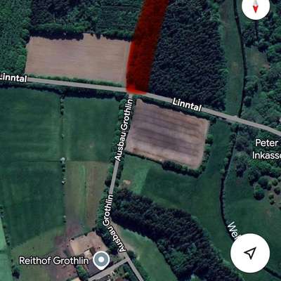 Giftköder-Giftköder-Bild