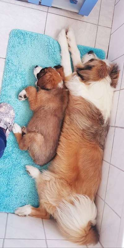 Die unbequemsten und lustigsten Schlafpositionen-Beitrag-Bild