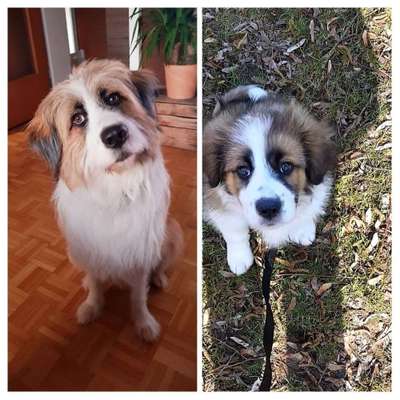 Vorher.... Nachher-Beitrag-Bild