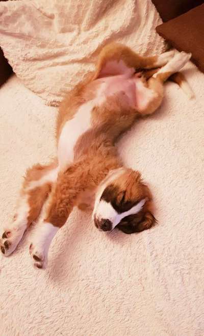 Die unbequemsten und lustigsten Schlafpositionen-Beitrag-Bild