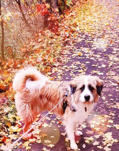 Foto Challenge 2 BEENDET 
Bitte aktuelle Challenge nutzen-Beitrag-Bild