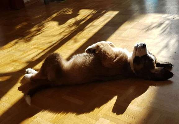 Die unbequemsten und lustigsten Schlafpositionen-Beitrag-Bild