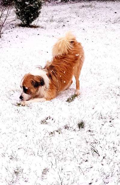 Lieblings Schnappschuss?-Beitrag-Bild