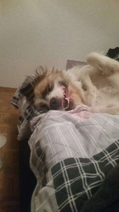 Fotochallange Nr. 6 Die irrsten Blicke-Beitrag-Bild