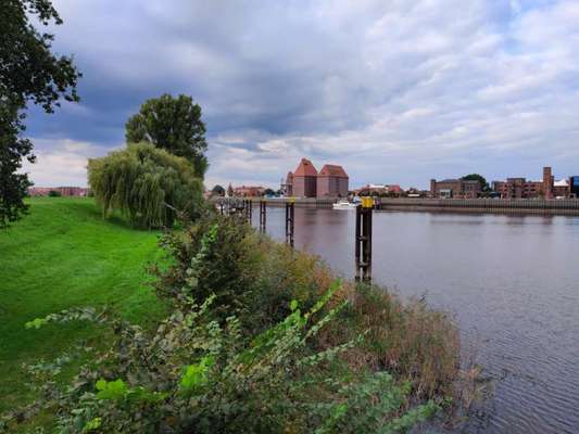 Die wunderschöne Welt mit Hund.-Beitrag-Bild