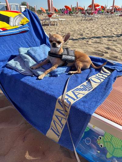 Urlaub in Italien-Beitrag-Bild