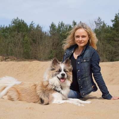 Hundetreffen-Gemeinsame Gassirunde / gemeinsames Trainieren