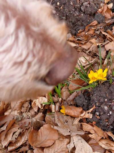 Fotochallenge Nr. 126-Beitrag-Bild