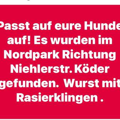 Giftköder-Wurst mit Rasierklingen-Bild