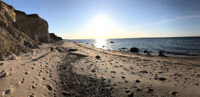 Hundeauslaufgebiet-Dazendorfer Strand / Steilküste-Bild