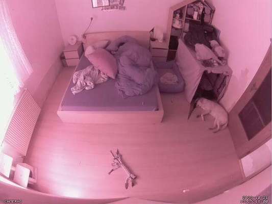 Was hat euch heute genervt?-Beitrag-Bild