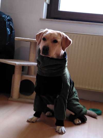 Was hat euch heute gefreut?-Beitrag-Bild