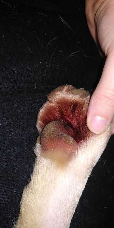 Was hat euch heute genervt?-Beitrag-Bild