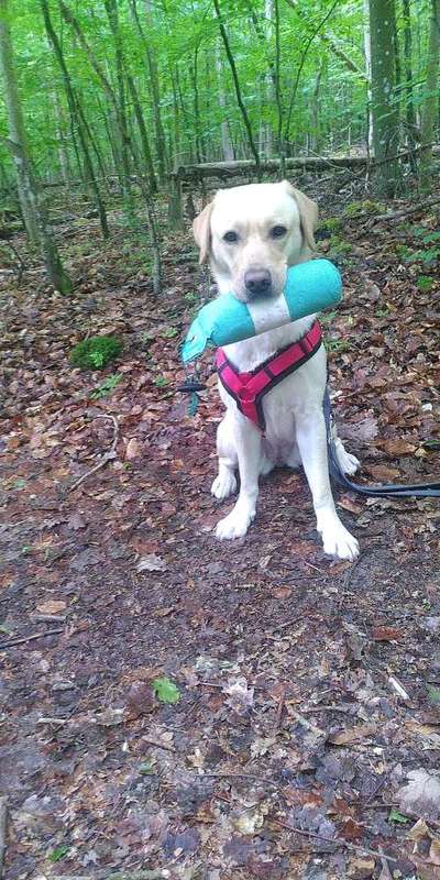 Was hat euch heute gefreut?-Beitrag-Bild