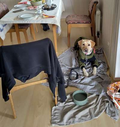 Was hat euch heute gefreut?-Beitrag-Bild